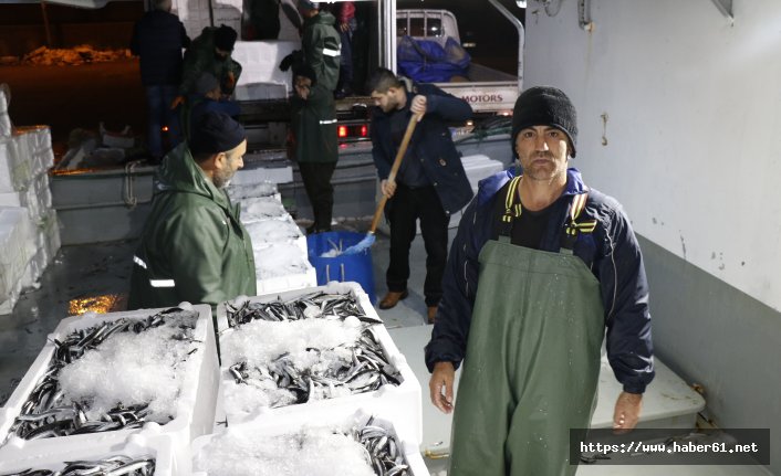 Karadeniz’den hamsi fışkırdı 