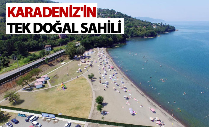 Karadeniz'in tek doğal sahili