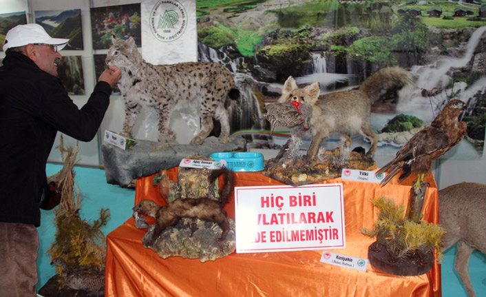 Giresun'un yaban hayatı İzmir'de tanıtıldı