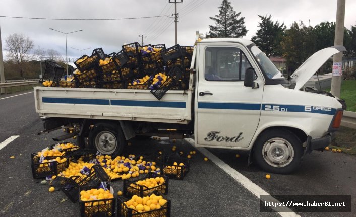  Limon yüklü kamyonet kaza yaptı 