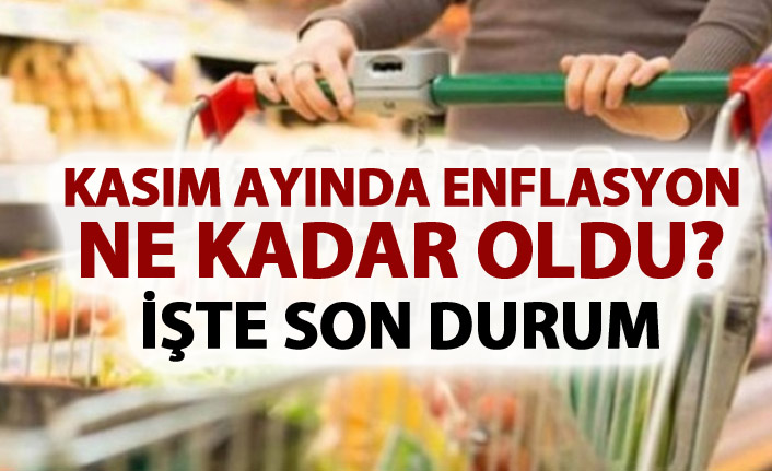 Kasım ayı enflasyon rakamları açıklandı