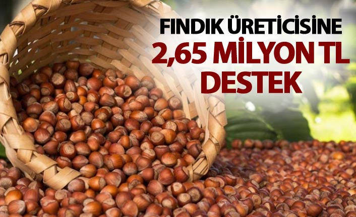 Fındık üreticisine 2,65 milyon lira destek