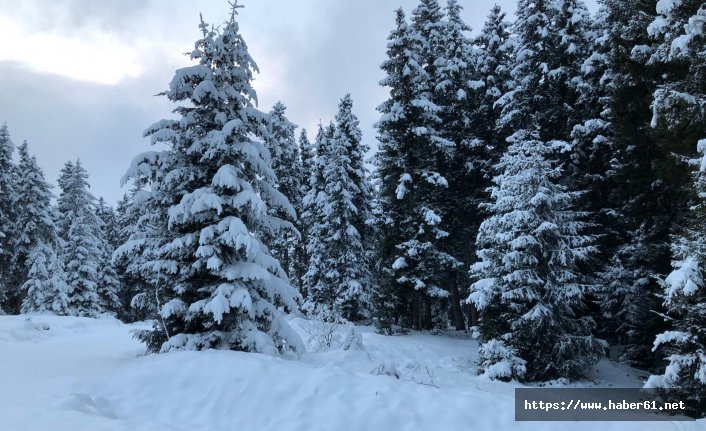 Giresun Yaylalarından kartpostallık kar manzaraları