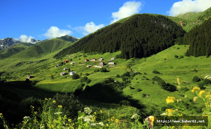 Doğu Karadeniz'de Uzungöl'e alternatif aranıyor