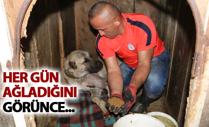 Bir köpeğin gözyaşları ile gelen dostluk