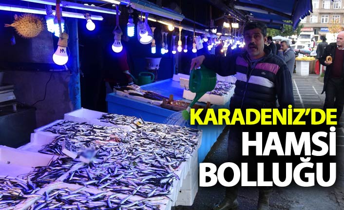 Karadeniz'de hamsi bolluğu - 15 Aralık 2018