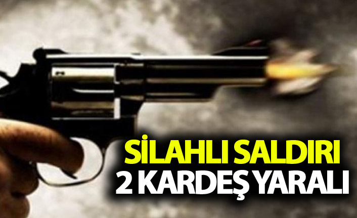 Silahlı saldırı: 2 kardeş yaralı