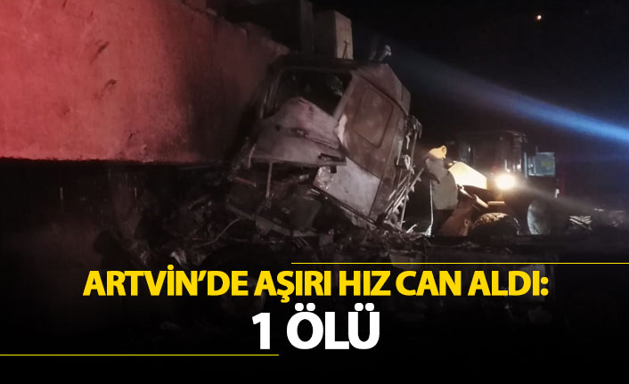 Artvin'de aşırı hız can aldı: 1 Ölü