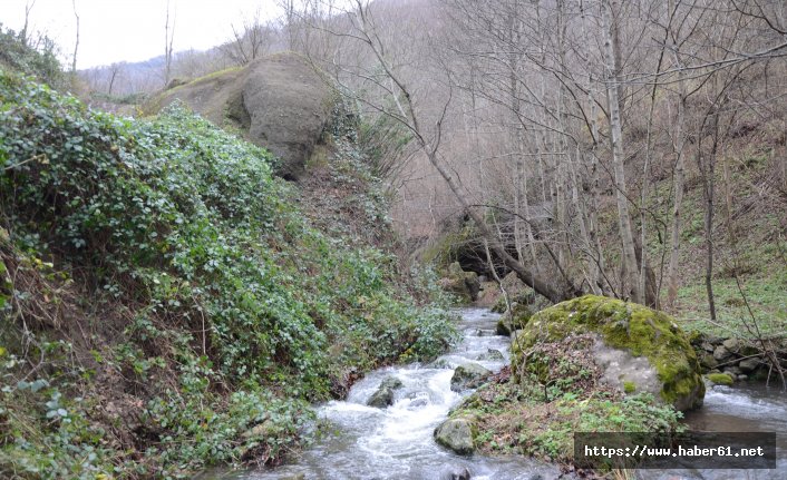  Ordu’daki ‘Fil Kayası’ görenleri şaşırtıyor 