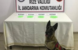 Rize'de uyuşturucu tacirlerine operasyon