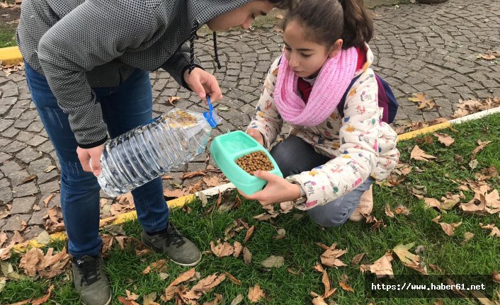 Sokak hayvanlarına sıcak yuva