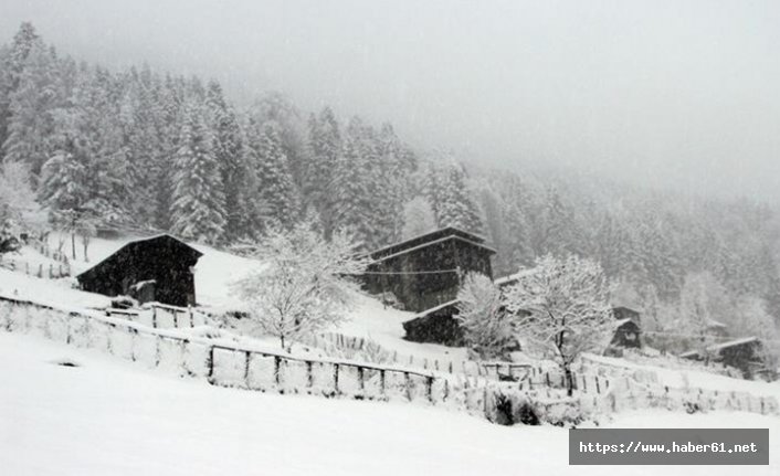 Rize'de kar hayatı olumsuz etkiliyor