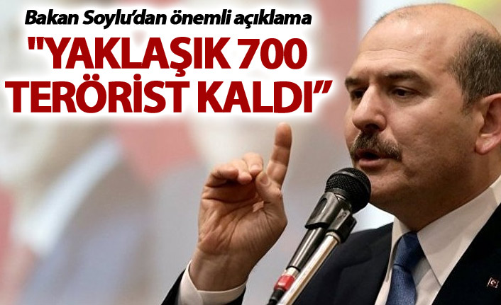 Soylu: "Yaklaşık 700 terörist kaldı, şimdi kazıma zamanıdır"