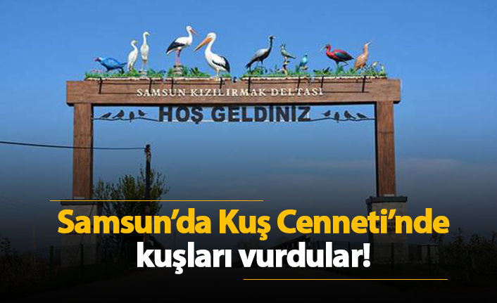 Kızılırmak Kuş Cenneti'nde kuşları vurdular!