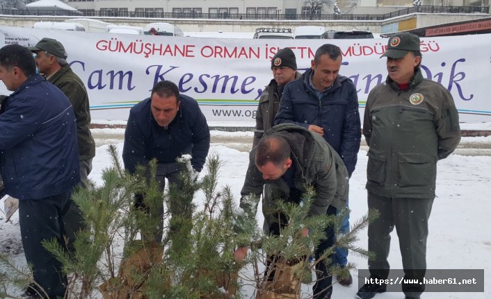  ‘Çam kesme, fidan dik’ kampanyası başlatıldı