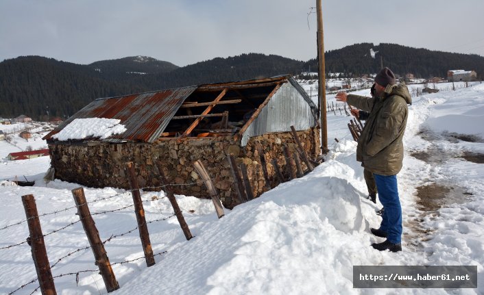 Ordu'da şiddetli rüzgar