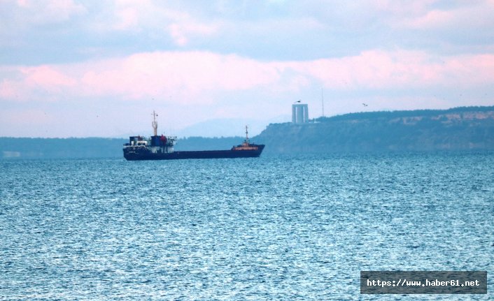 Gemi kaptanı kamarasında ölü bulundu 