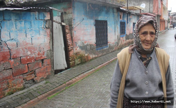 Yaşlı kadının feryadı: "Böyle yaşamaktansa ölsek daha iyi" 