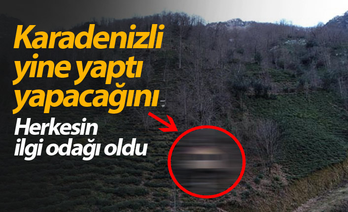 Karadenizli Musa "ağaçkondu" yaptı