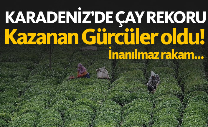 Çayda kazanan Gürcüler oldu!