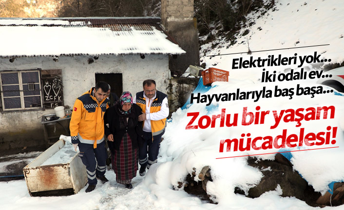 Yaylada iki odalı evde yaşam mücadelesi