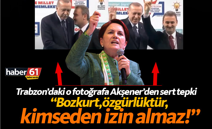 Akşener: Bozkurt kimseden izin almaz!