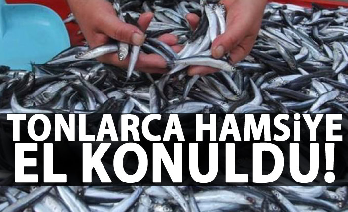 Samsunda tonlarca hamsiye el konuldu