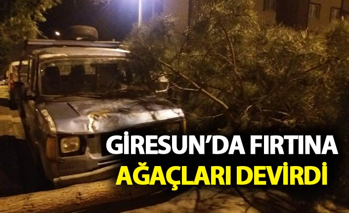  Fırtına ağaçları devirdi, araçlara zarar verdi 