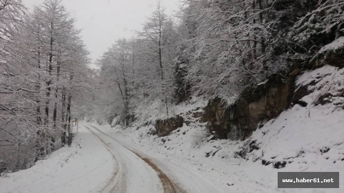 Giresun'da kar yolları kapattı