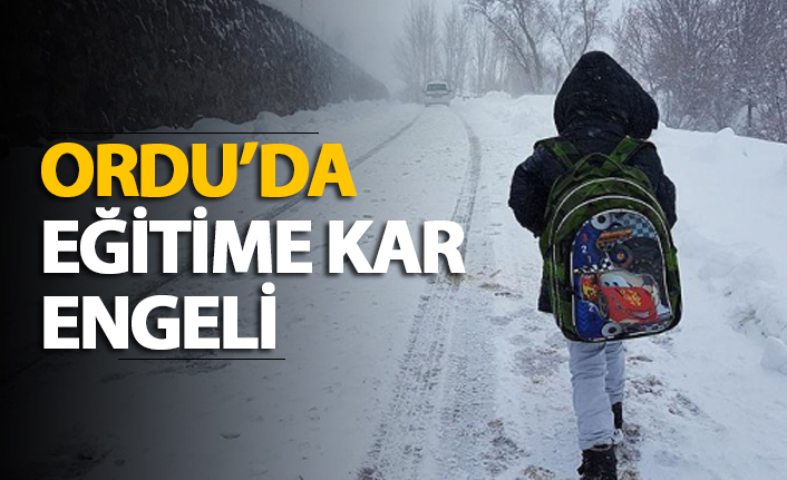 Ordu'da eğitime kar engeli