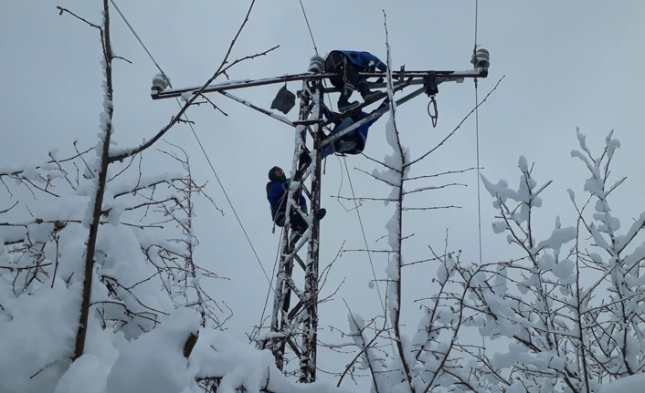 Zorlu şartlarda elektrik direğine tırmandılar