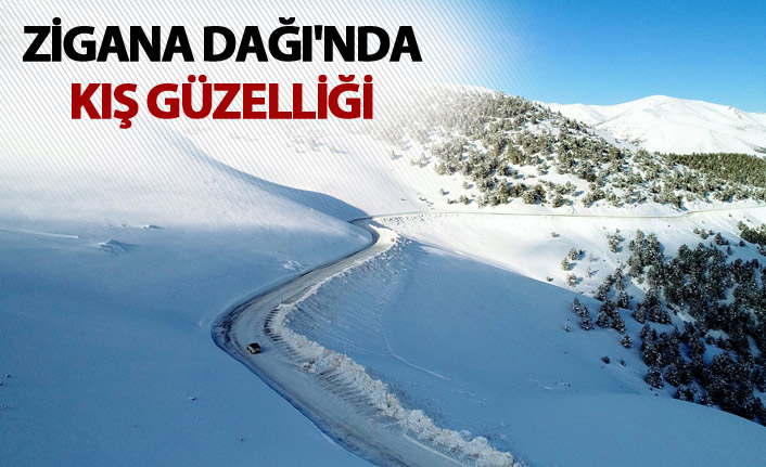 Tarihi İpek Yolu'ndaki Zigana Dağı'nda kış güzelliği