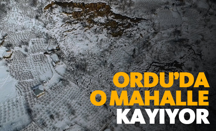 Ordu'da o mahalle kayıyor