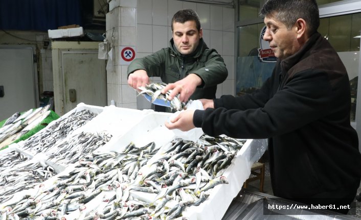 Hamsi kıtlığı yaşanıyor