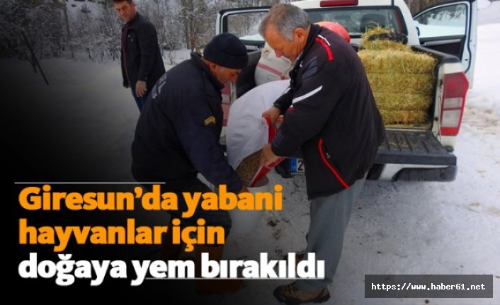 Giresun'da yabani hayvanlar için doğaya yem bırakıldı