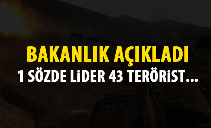 Biri sözde lider kadrodan 43 terörist öldürüldü