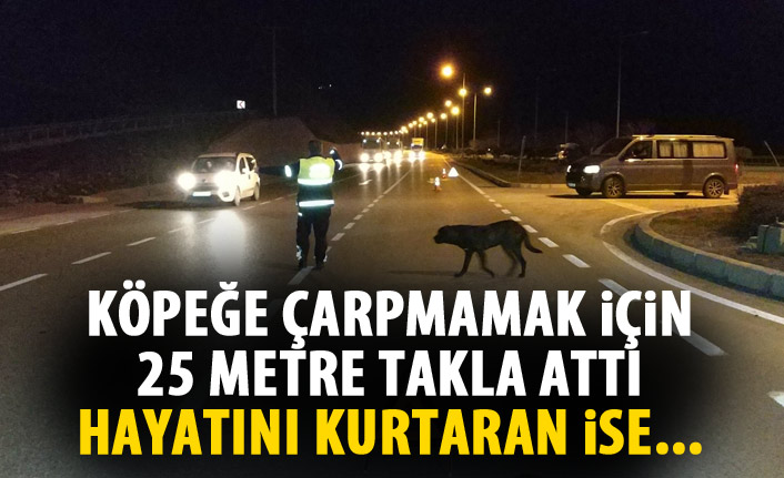 Köpeğe çarpmamak için canından oluyordu!