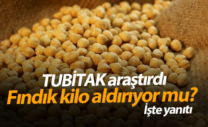 TUBİTAK araştırdı, fındık kilo aldırıyor mu?