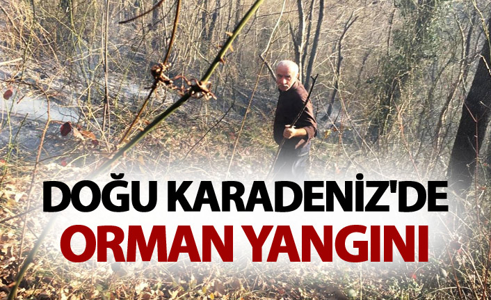 Doğu Karadeniz'de orman yangını