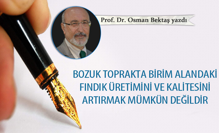 Bozuk toprakta birim alandaki fındık üretimini ve kalitesini artırmak mümkün değildir