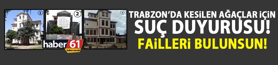 Trabzon’da kesilen ağaçlar için suç duyurusunda bulundu