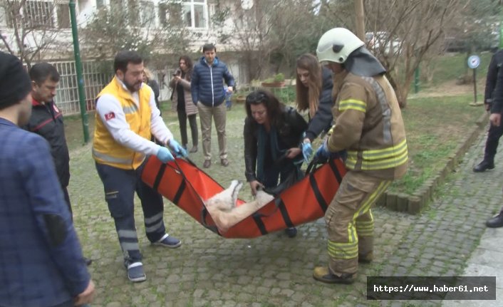 Dumandan etkilenen köpek ambulansta hayata döndü