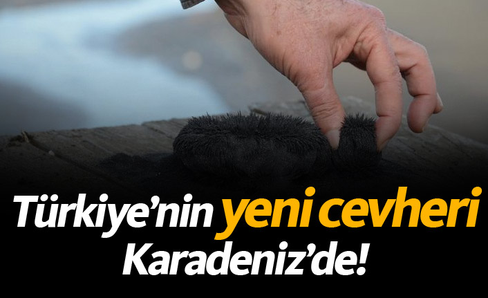 Türkiye'nin yeni cevheri Karadeniz'de