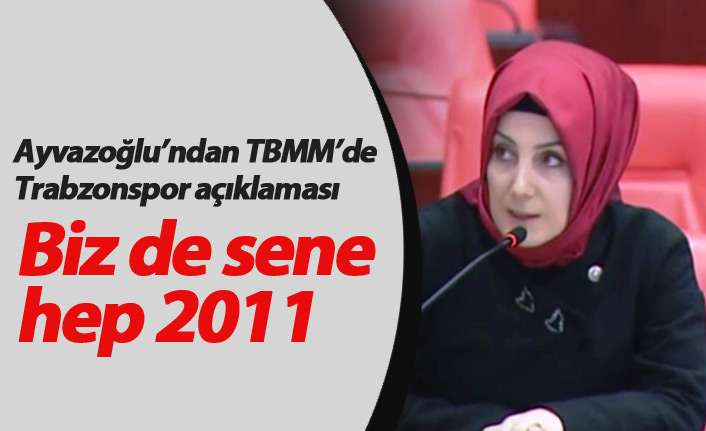 Ayvazoğlu TBMM'de konuştu: Sene hep 2011!