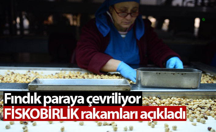 FİSKOBİRLİK fındığı paraya çevirecek