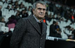 Şenol Güneş'ten milli takım açıklaması