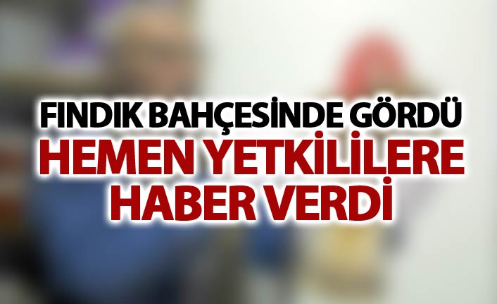 Fındık bahçesinde gördü - hemen yetkililere haber verdi