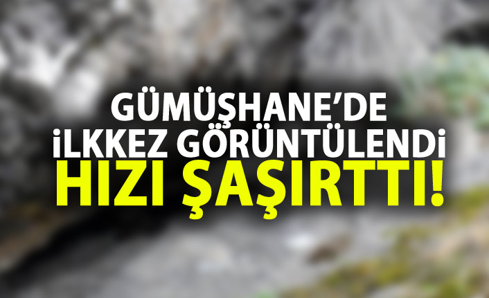 Tunceli'nin ardından Gümüşhane'de ortaya çıktı