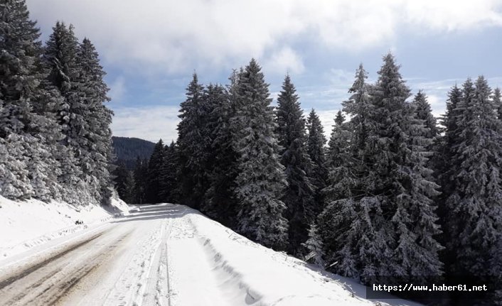 Karadeniz yaylalarına kışın da ilgi var!