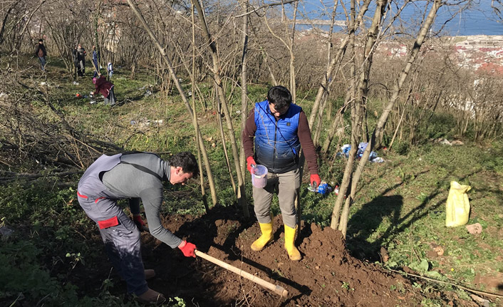 "2019 fındığı gençleştirme yılı"